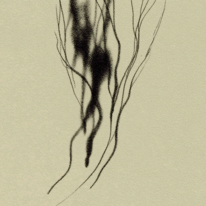 KALO