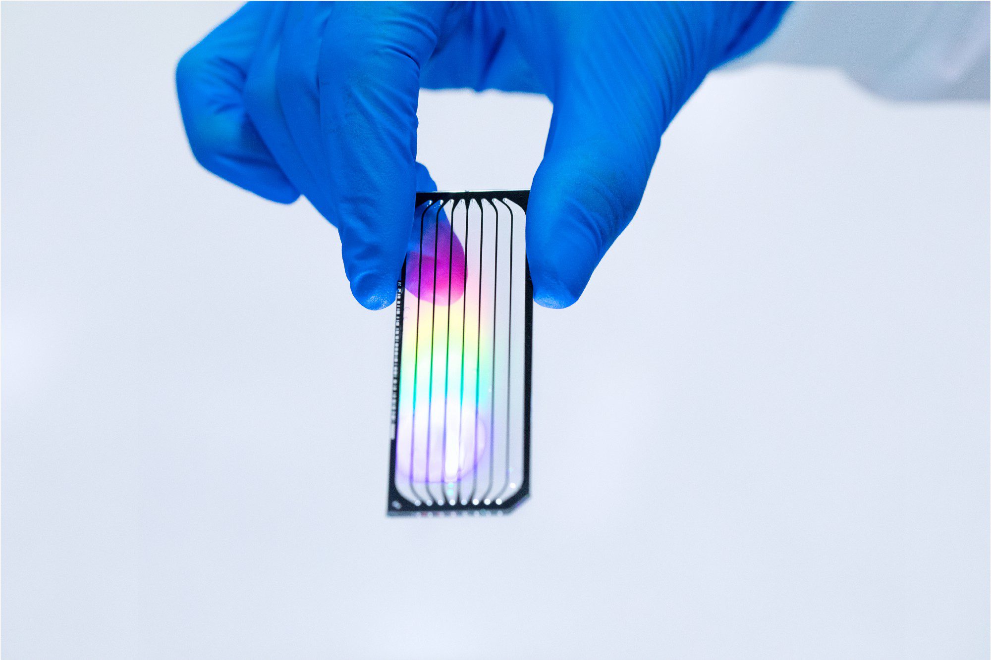 DNA Technologies 101 Genotyping vs. Sequencing, and What They Mean For