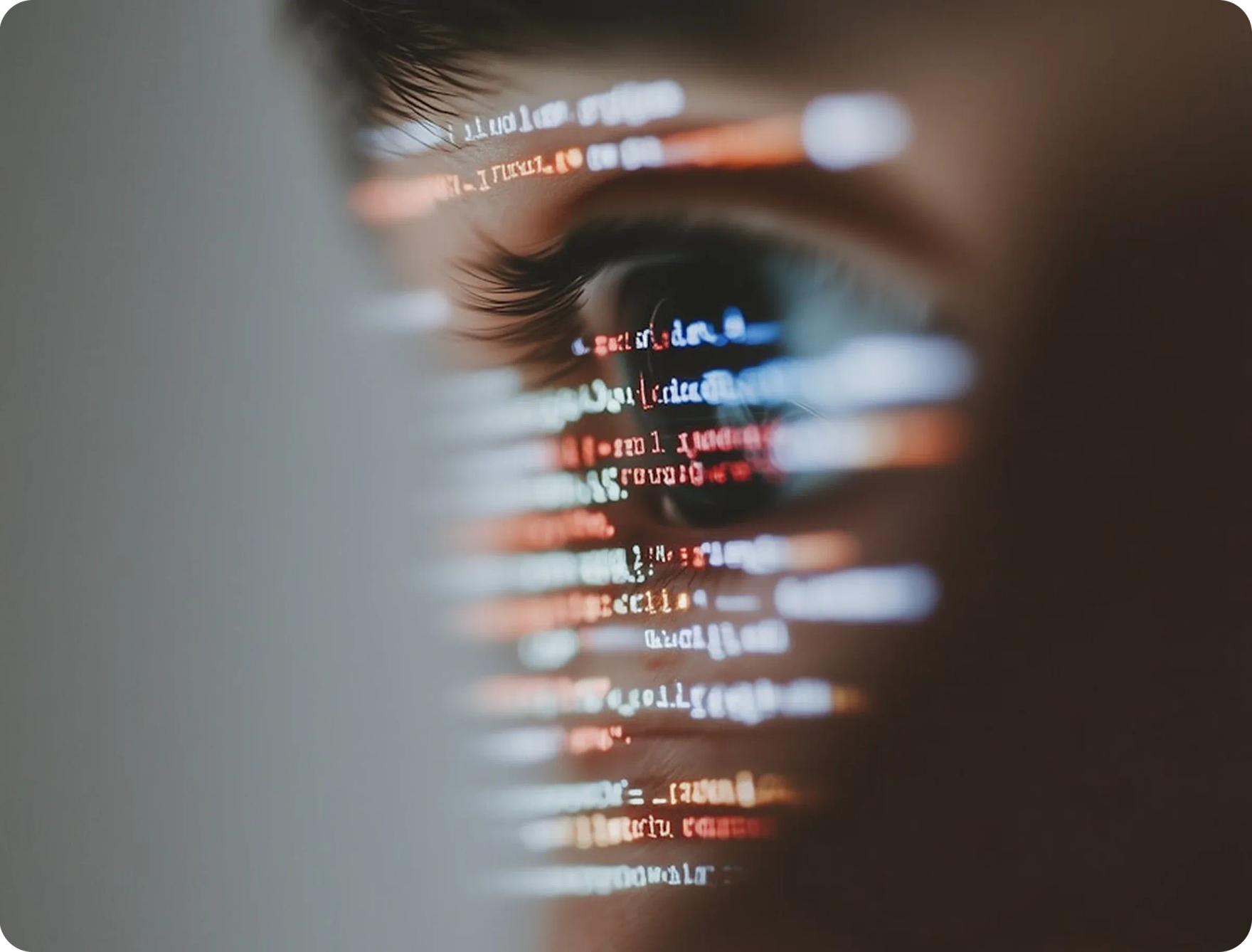 Web development services for your businesses