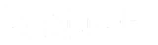 Synsel
