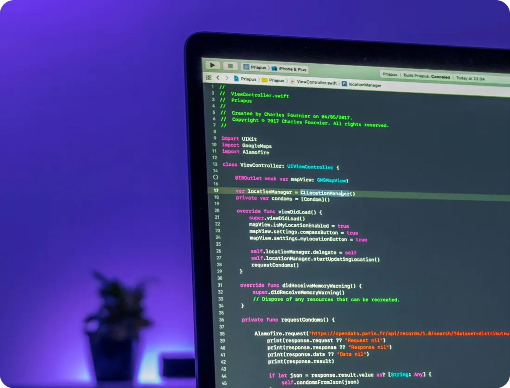 Which frontend developers can you hire from us