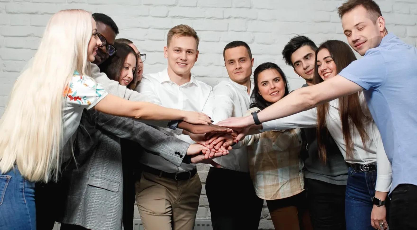 Dedicated team cooperation model