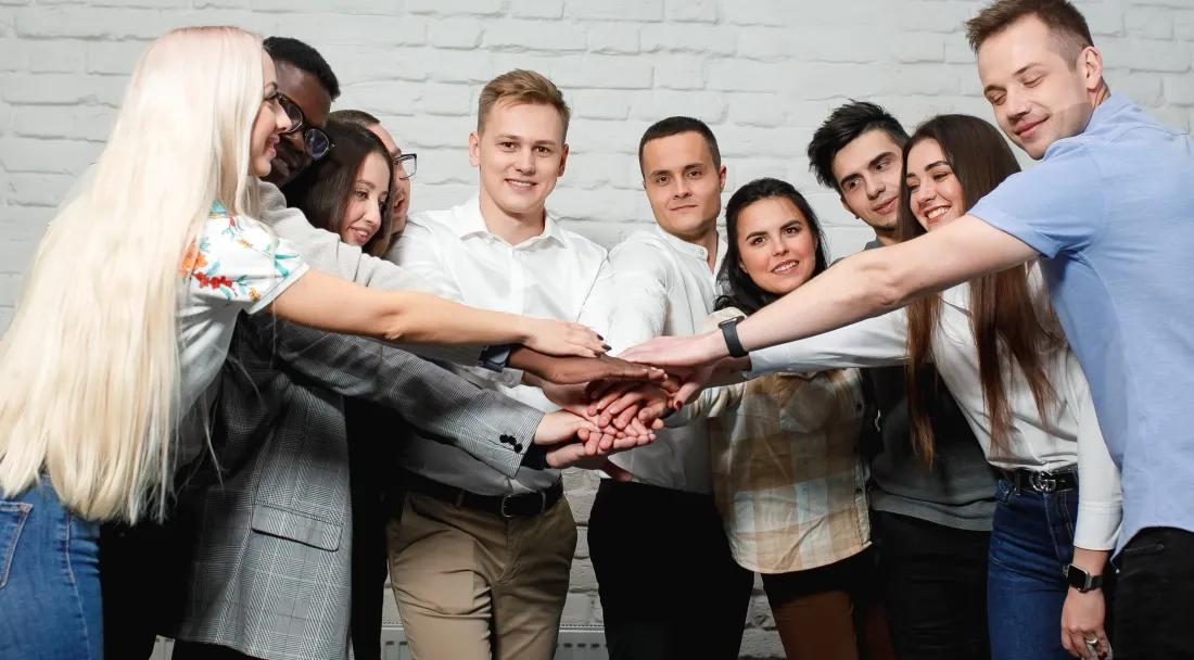 Dedicated team cooperation model Dedicated team cooperation model