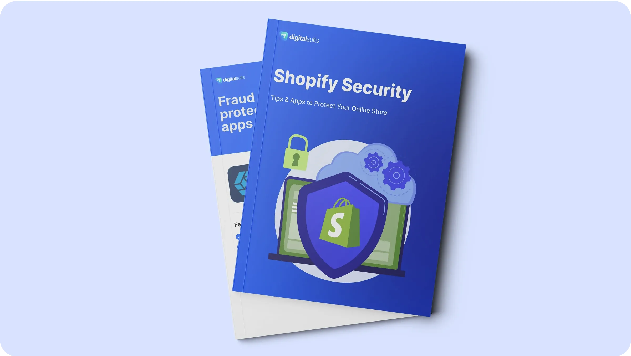 Shopify security tools and practices
