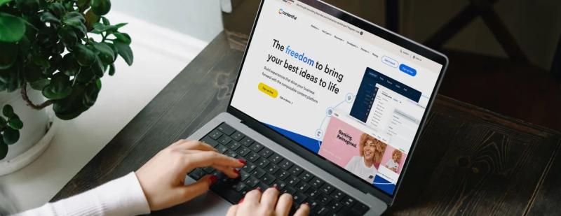 Contentful CMS_ Everything You Need to Know.webp