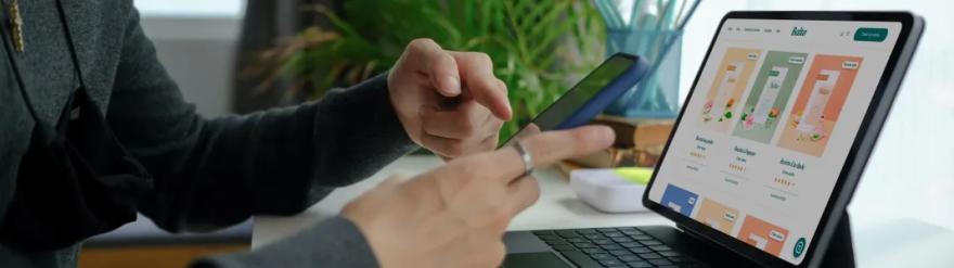 Ecommerce Software Development