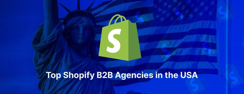 Top Shopify B2B Agencies in the USA