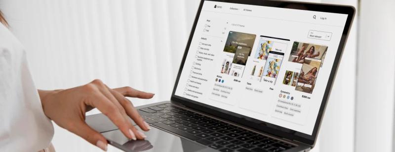 Image in article_Shopify Theme Development_ A Deep Dive into Customization.webp