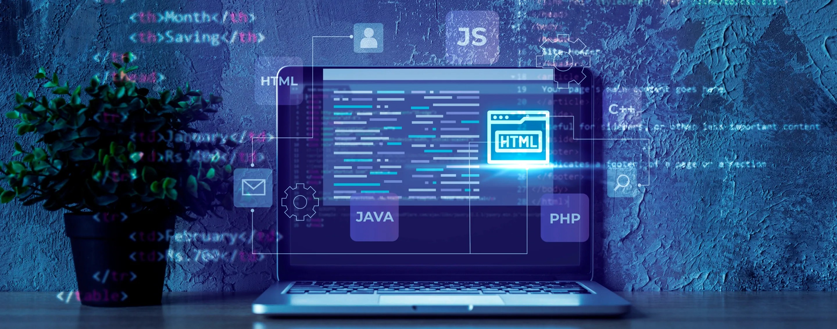 Web Development Services Web Development Services