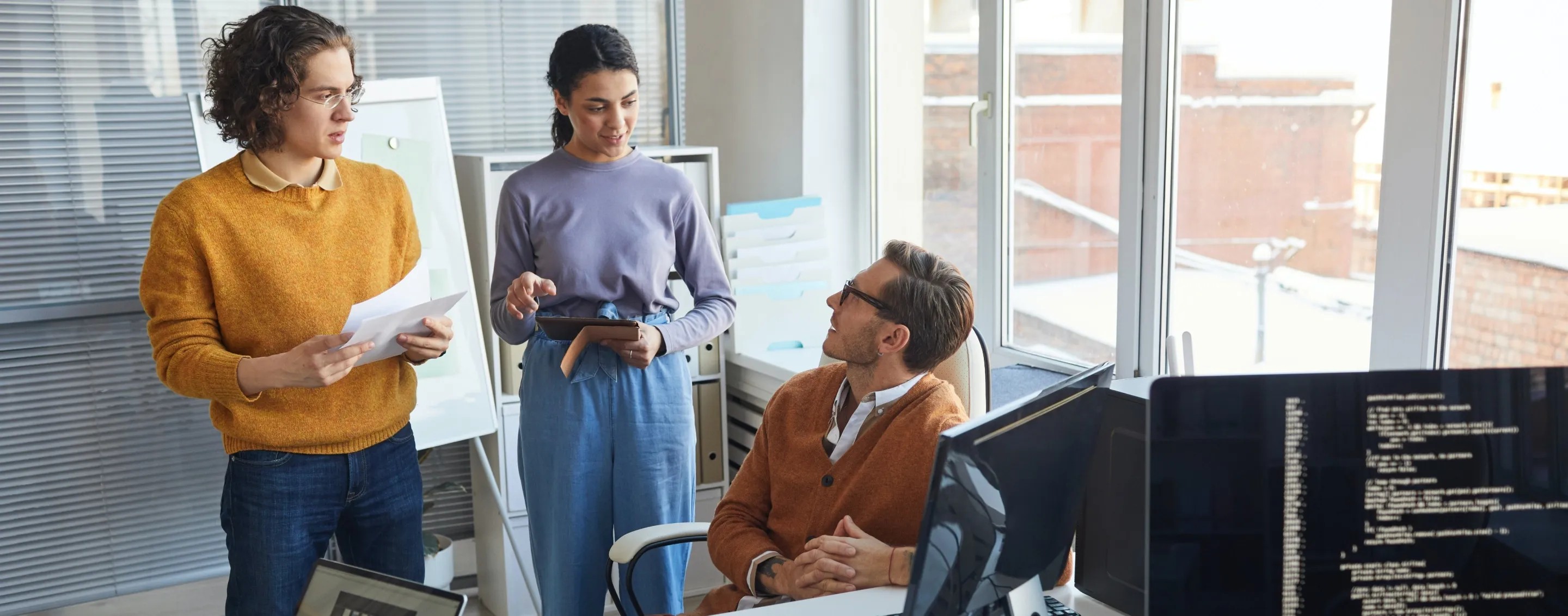 Software Development Consulting Services