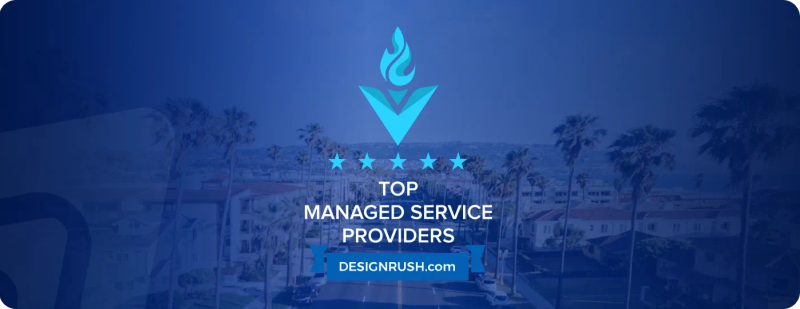 Top IT service providers