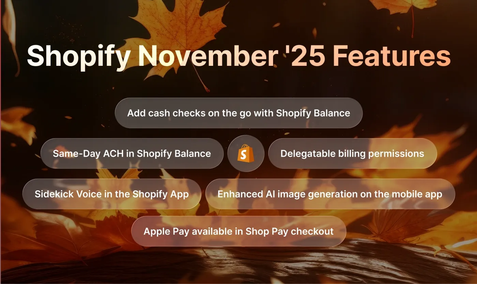 Shopify features