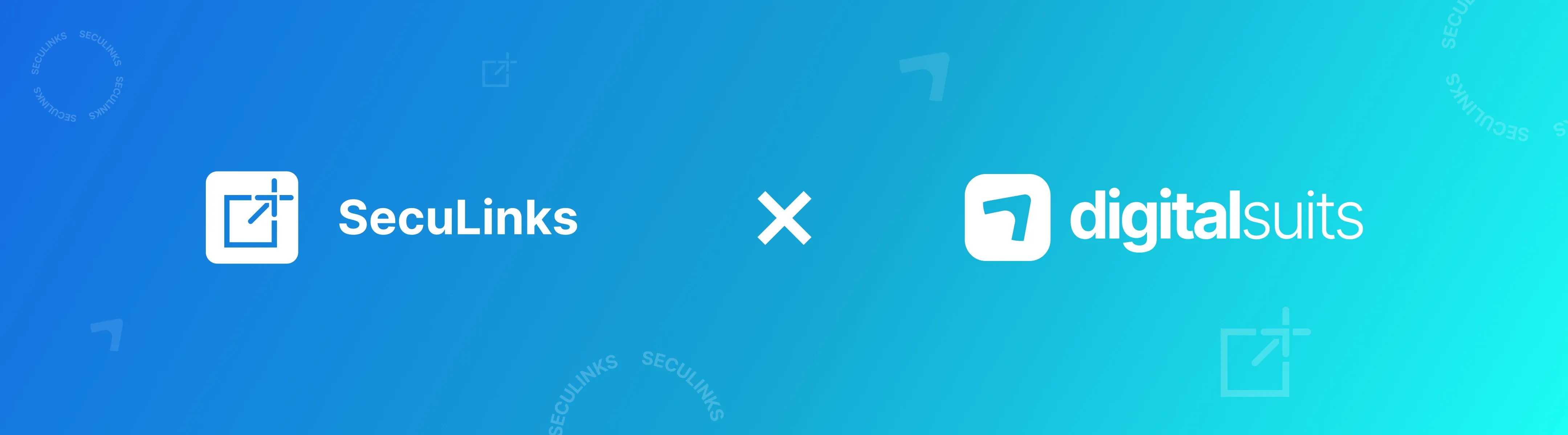 SecuLinks Banner_Desktop 