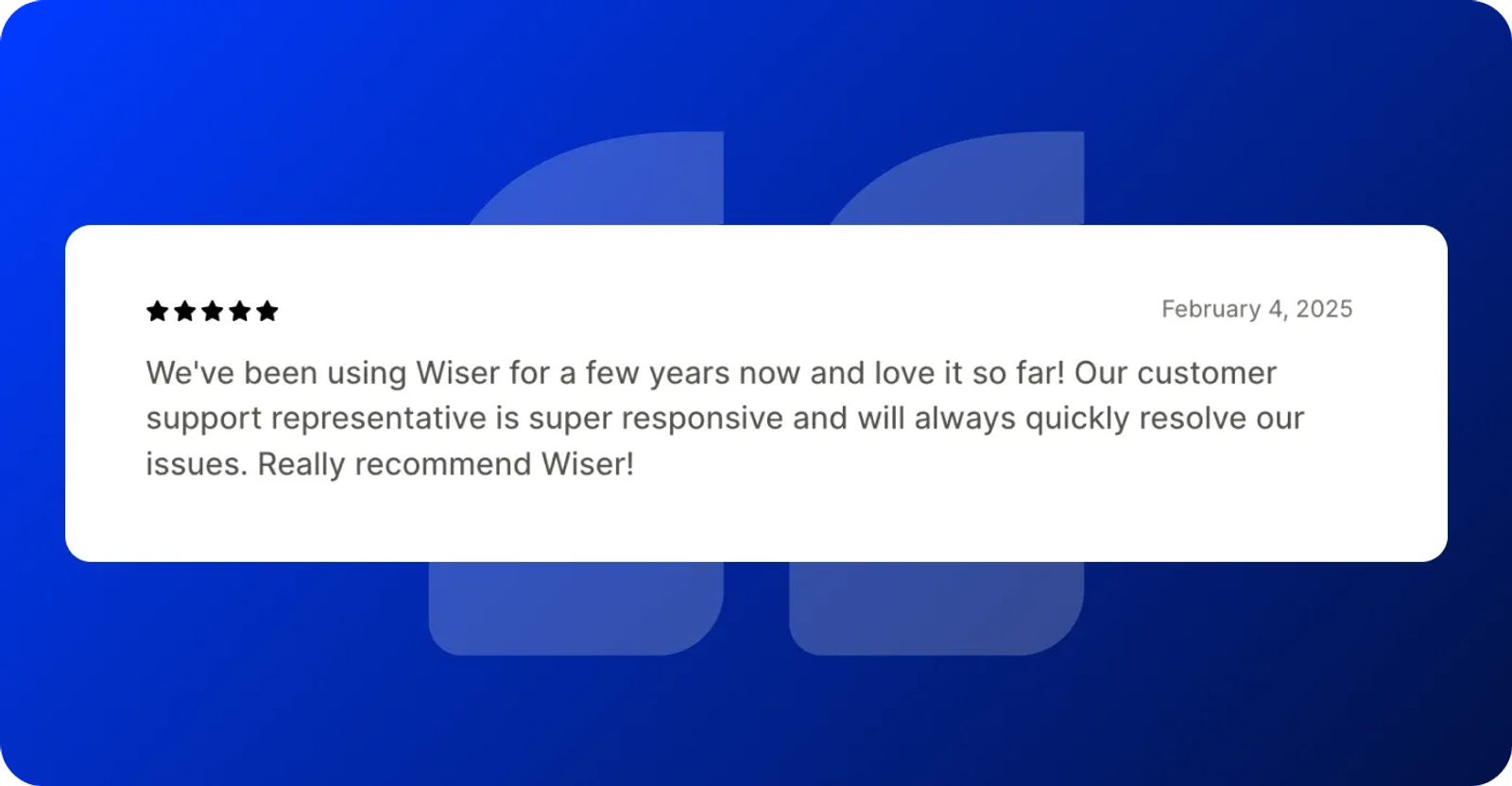 Wiser Product Recommendations review