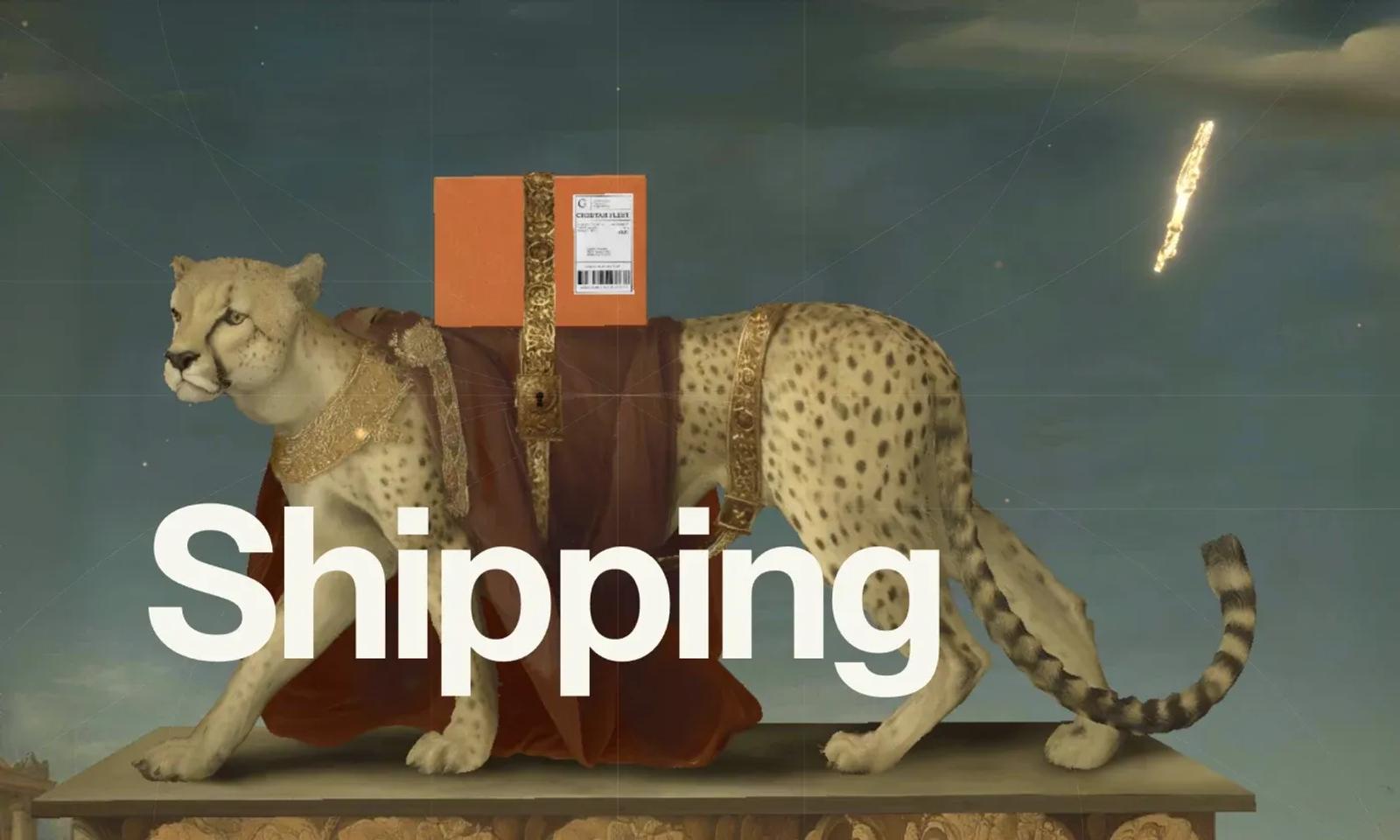 Shipping updates