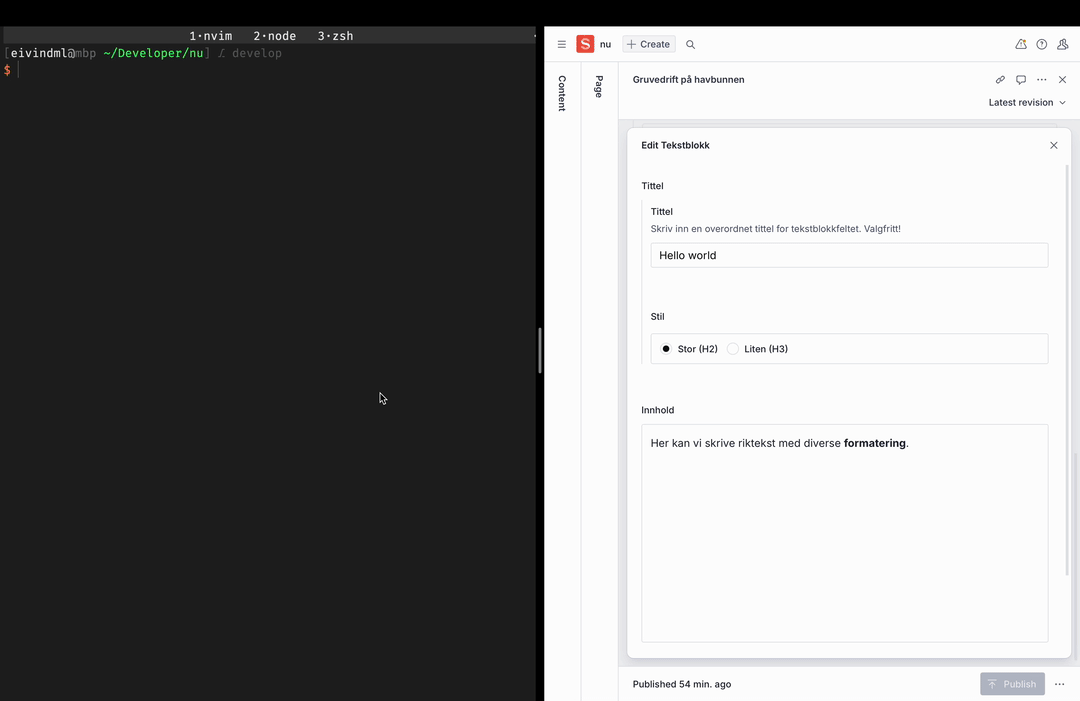 Screenrecording from terminal showing a connection to the LCAPI. Using curl.