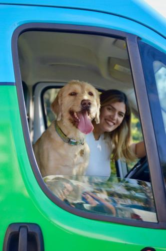Miami mobile pet grooming