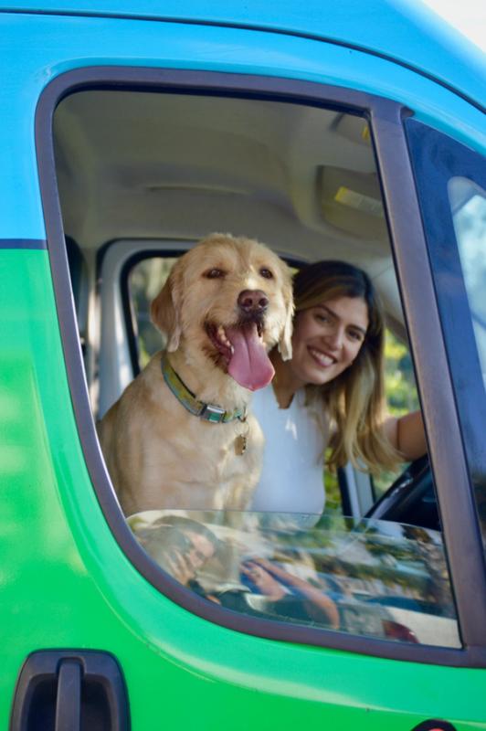 Miami mobile pet grooming