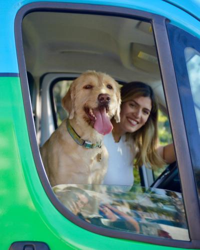 Miami mobile pet grooming