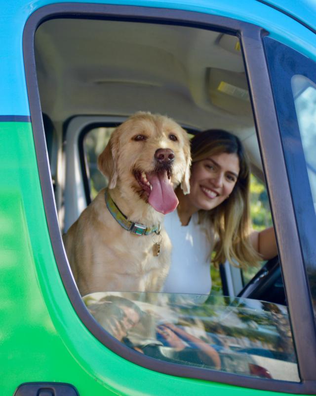 Miami mobile pet grooming