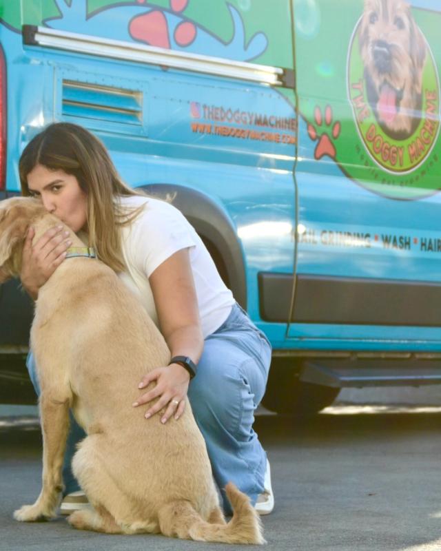 Miami mobile pet grooming