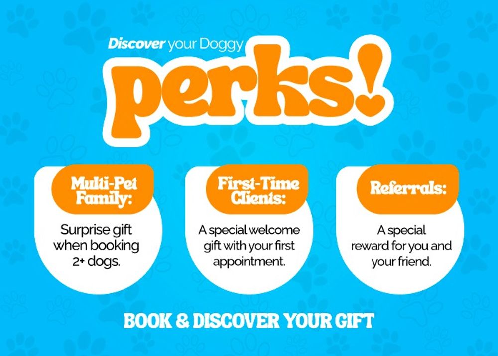Discover your Doggy perks — a surprise gift when booking two or more dogs, a welcome gift for first-time clients, and a reward for referrals.
