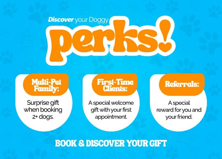 Discover your Doggy perks — a surprise gift when booking two or more dogs, a welcome gift for first-time clients, and a reward for referrals.