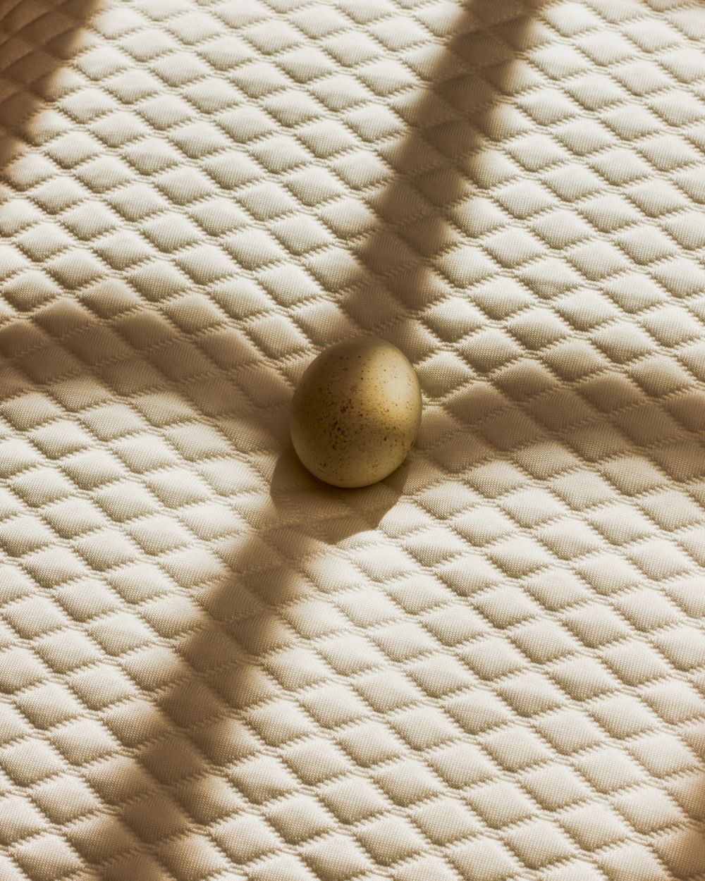 Egg on a custom pillow