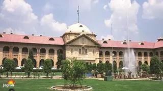 उप्र में बंदरों के उत्पात पर हाईकोर्ट सख्त, राज्य सरकार से माँगी व्यापक कार्ययोजना