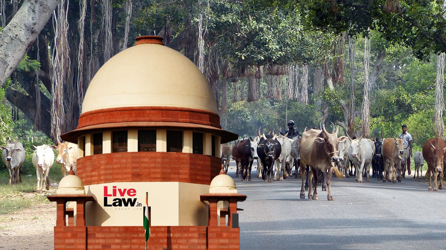 तमिलनाडु सरकार ने उच्चतम न्यायालय में गोहत्या प्रतिबंध आदेश की वैधता पर सवाल उठाया