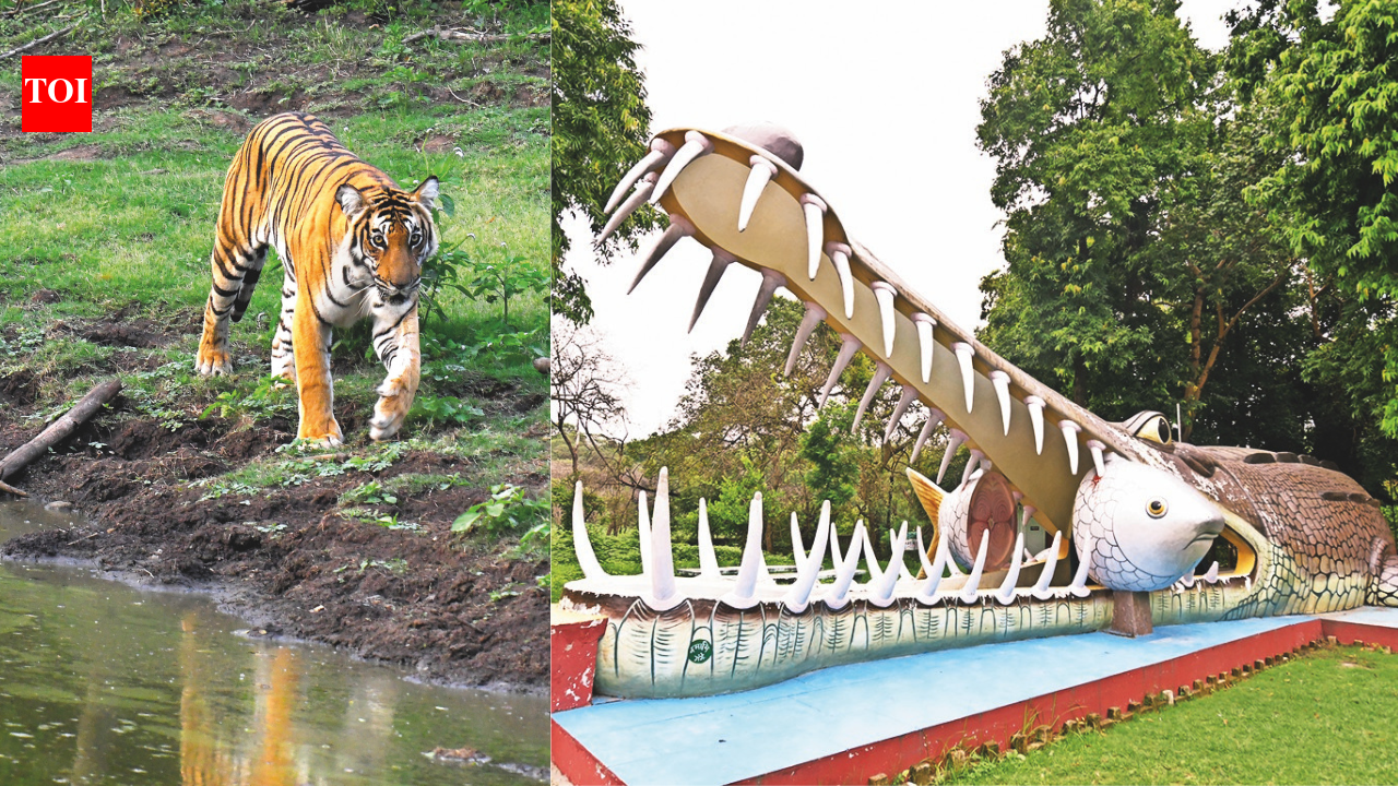 कुकरैल में भारत की पहली और दुनिया की सबसे बड़ी नाइट सफारी शुरू हुई है