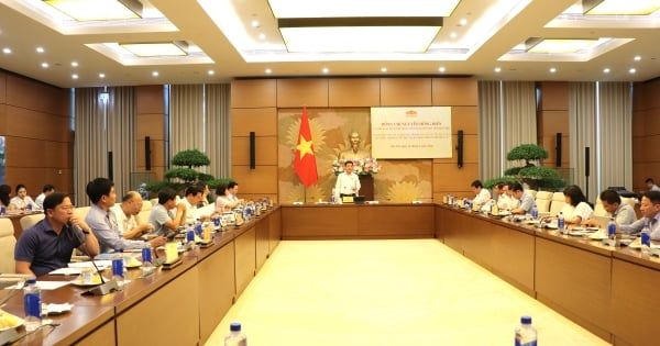 राष्ट्रीय सभा के उपाध्यक्ष ने विचाराधीन मसौदा कानूनों की समीक्षा की