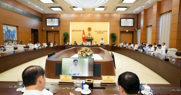 नई नीलामी नियमावली: विदेशी निवेश को बढ़ावा देने के लिए वियतनाम कानून में संशोधन