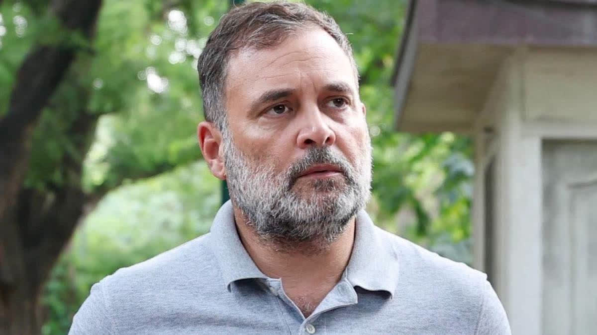 अय से अधिक संपत्ति मामला: राहुल गांधी का सुप्रीम कोर्ट में आदेश के खिलाफ दांव