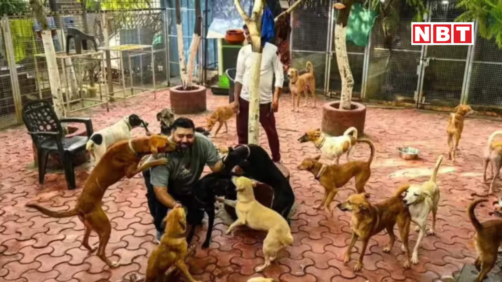 सुप्रीम कोर्ट के आदेश पर एक्शन में एमसीडी, द्वारका में नवंबर तक बनकर तैयार होगा 1500 क्षमता वाला 'डॉग शेल्टर'!