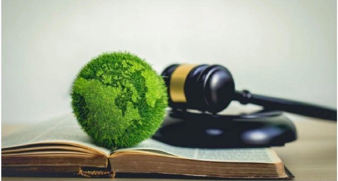 अब और नहीं 'पहले निर्माण, फिर माफ़ी' का खेल: सुप्रीम कोर्ट का बड़ा फैसला