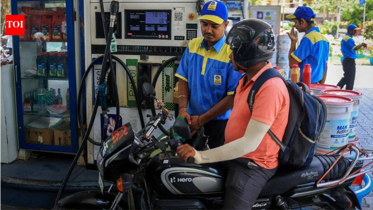 20% इथेनॉल मिश्रण अभी भी एक प्रयोग, परिणाम अगले साल तक: केंद्र