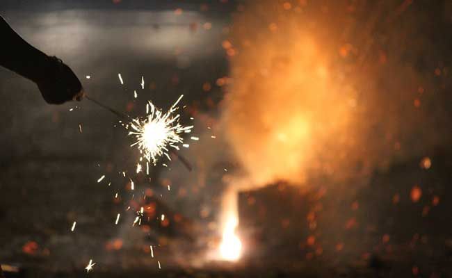 दिल्ली हाई कोर्ट ने केंद्र को पटाखा सुरक्षा दिशानिर्देशों में कथित कमियों पर विचार करने का निर्देश दिया