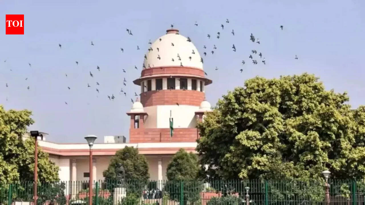 सर्वर त्रुटि: 500 एरर, क्या है इसका मतलब और समाधान?