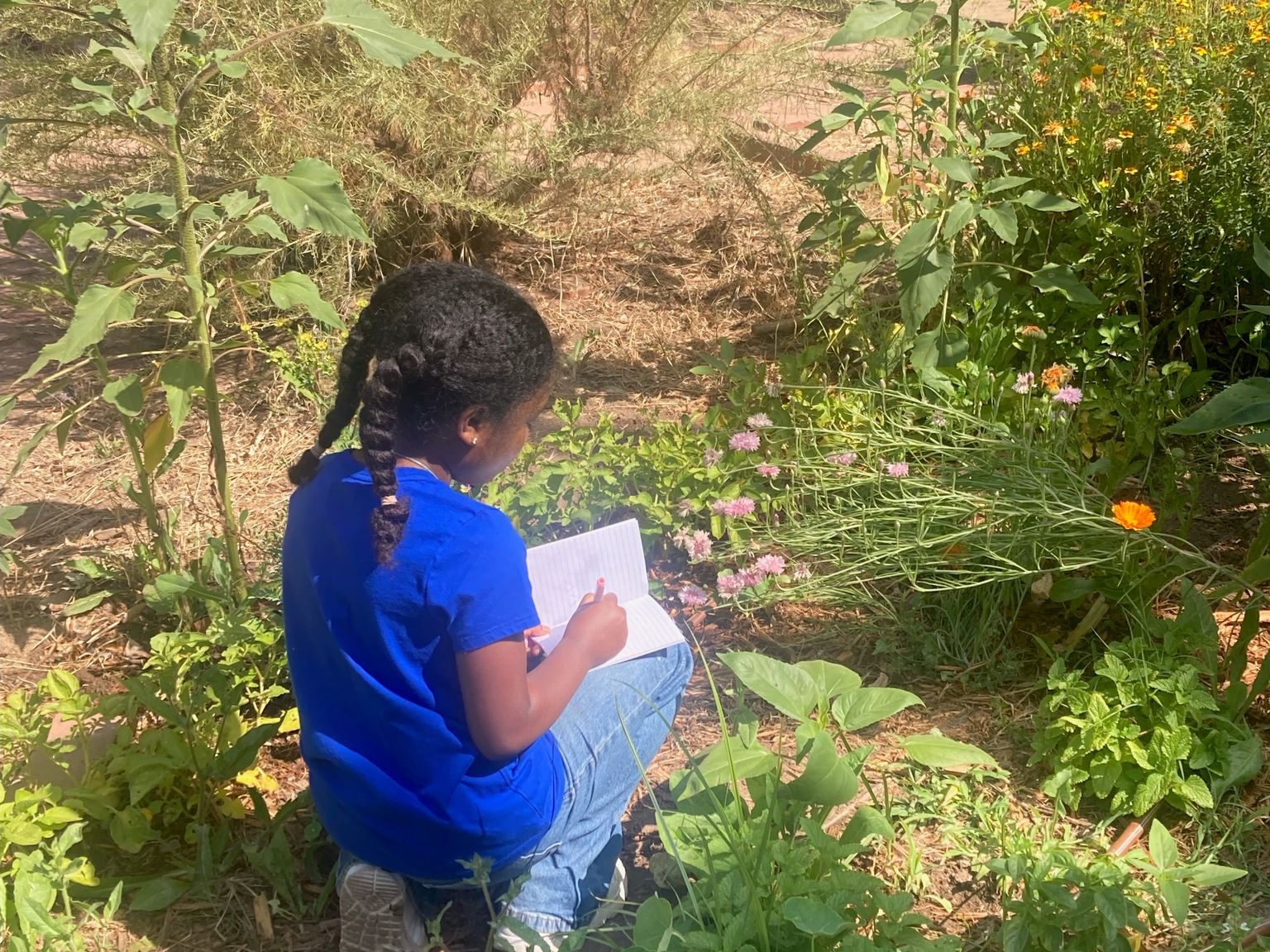 a child sits in the garden with a notebook, observing a plant