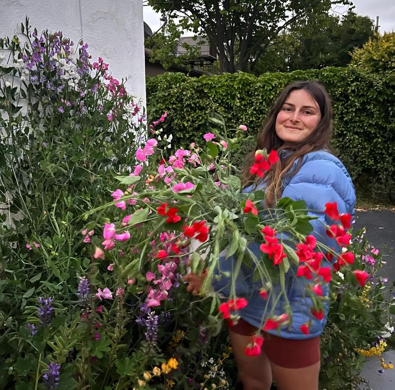 A person with light skin, long dark hair, is wearing a blue puffy jacket and holding a big armful of red and pink sweet pea flowers