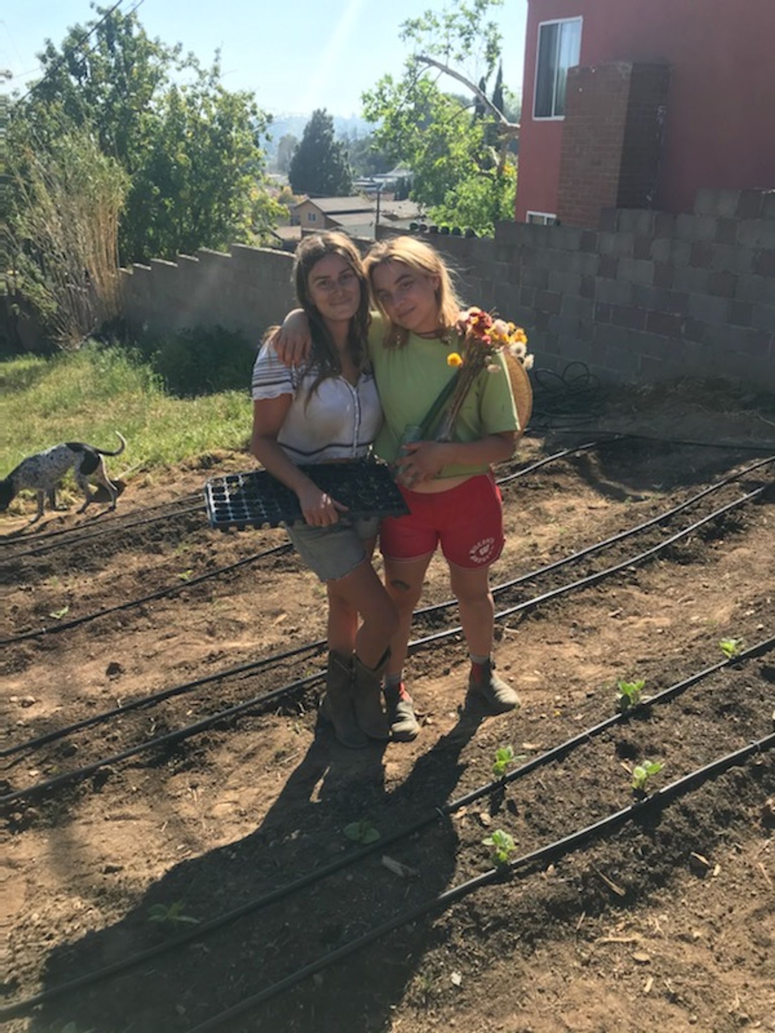 Two people standing between garden rows of soil, holding a seedling tray and onions