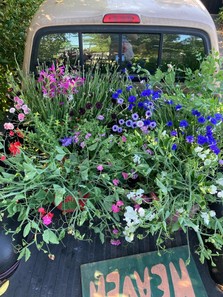 Buckets of purple, blue, pink and white flowers fill the back of a beige truck