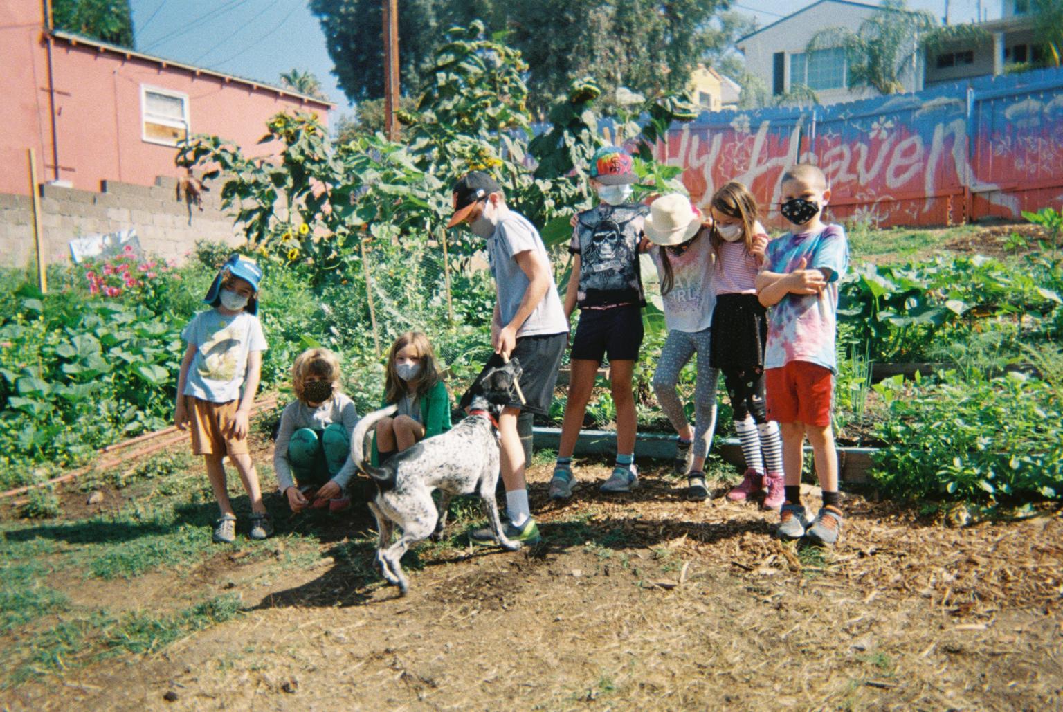Kids at Muddy Heaven's urban garden, playing with a dog