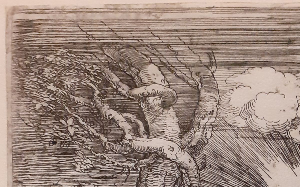 détail du ciel du « Samson tuant le lion », Dürer, eau forte de 1497