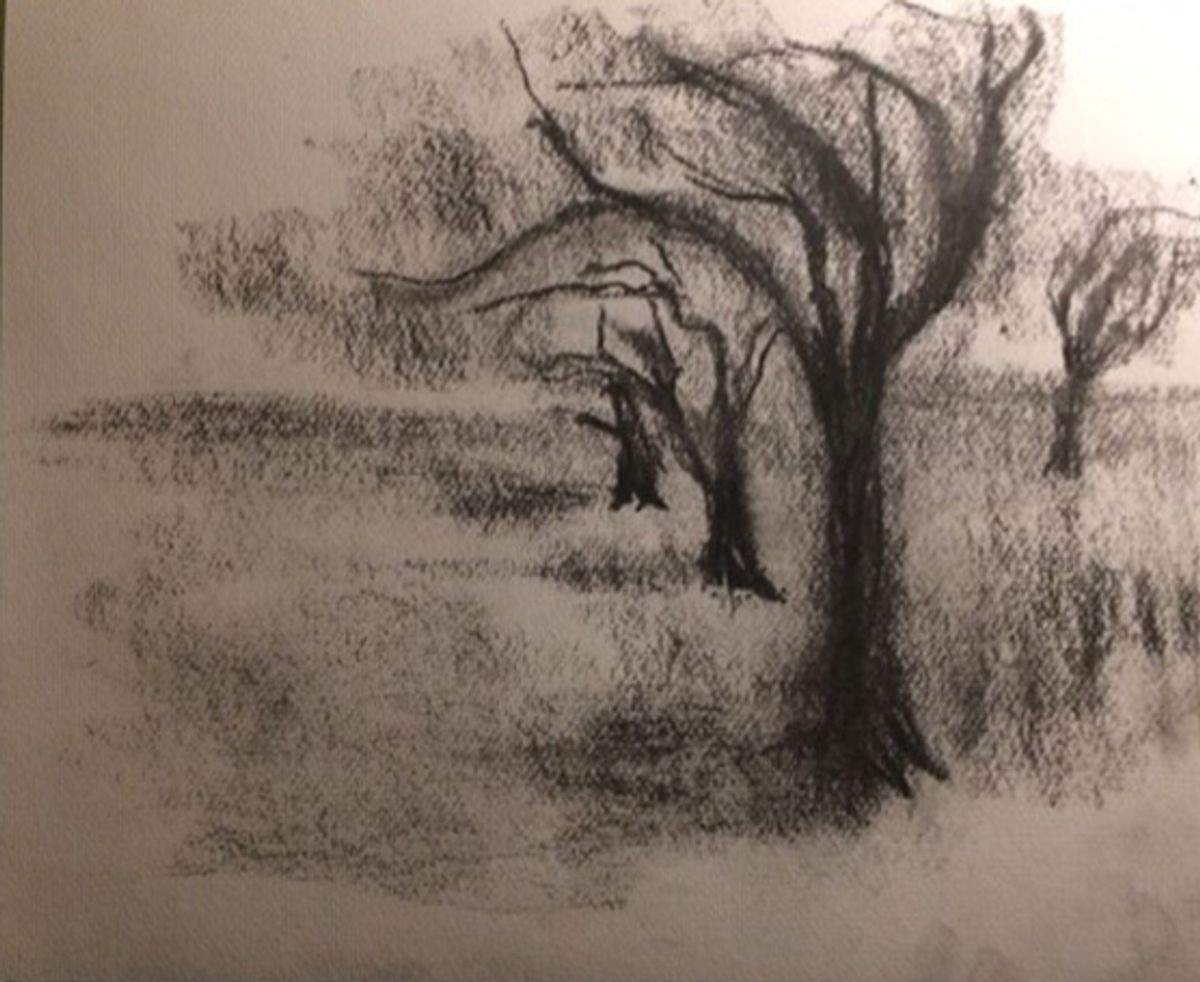 dessin de bonnard