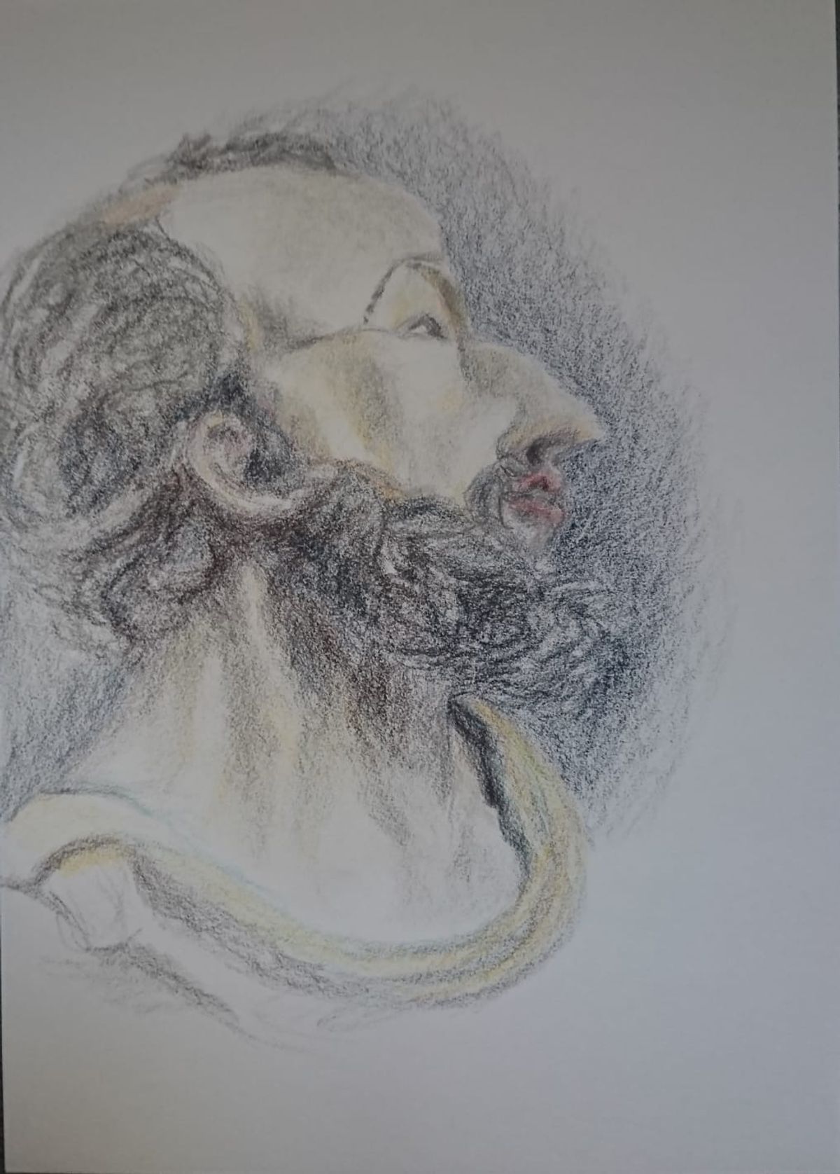 le portrait