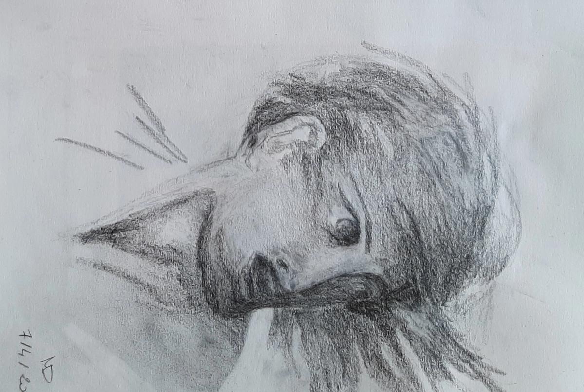 le portrait