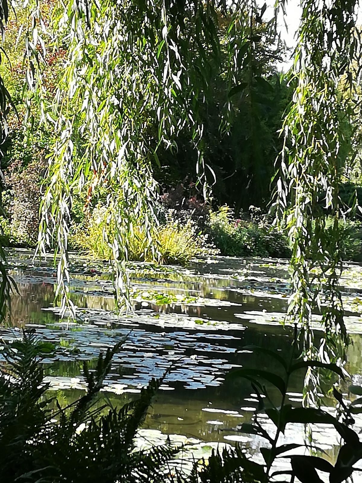 valeur des couleurs