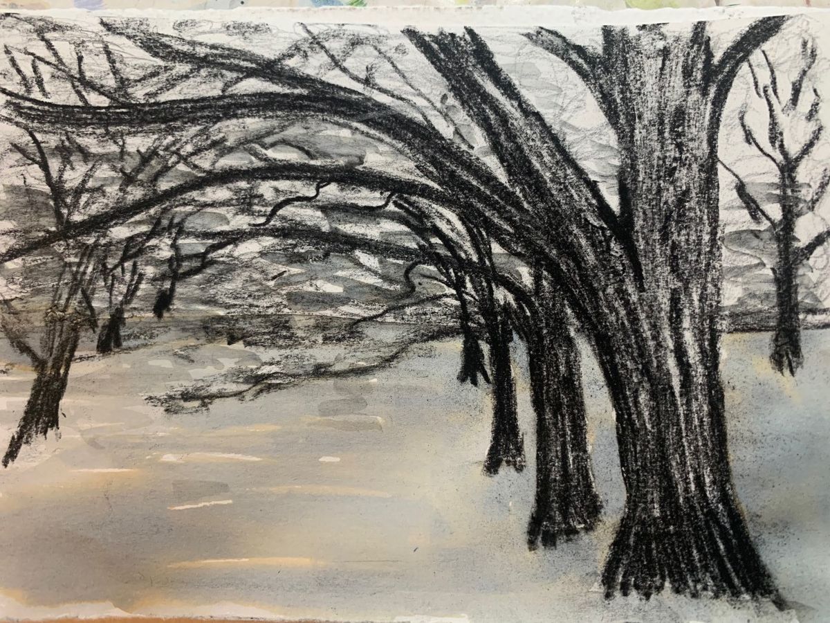 dessin de bonnard